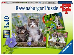 Ravensburger Puzzel Jonge Katjes (3x49)